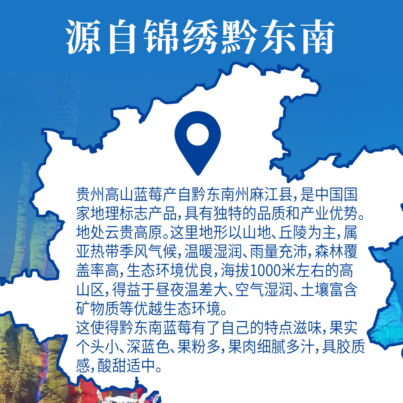 NFC蓝莓混合汁8.jpg