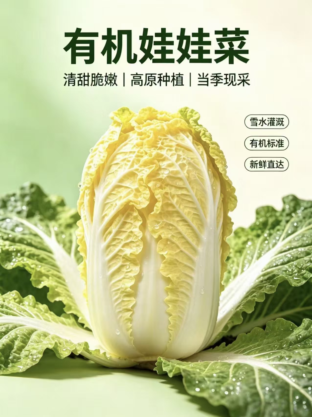 微信图片_20260825171619_205_75.jpg