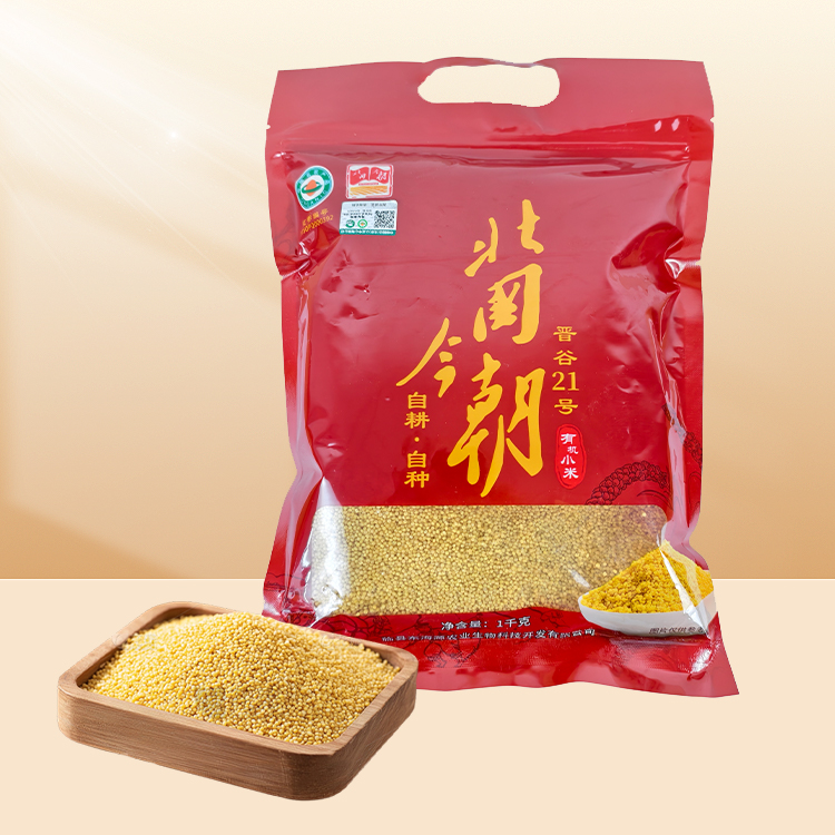 北國今朝