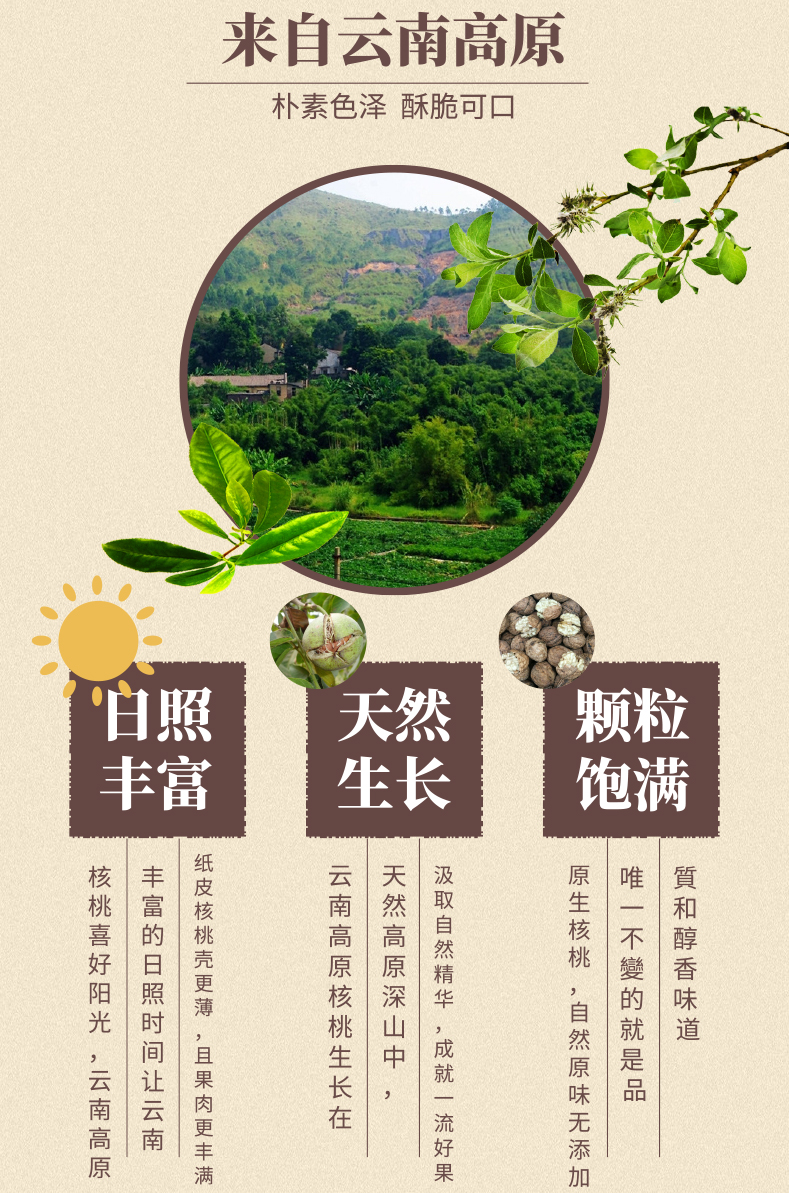 详情页1.jpg