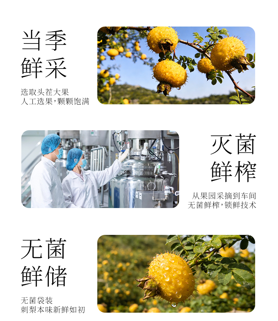 2L裝刺梨原汁_03.jpg