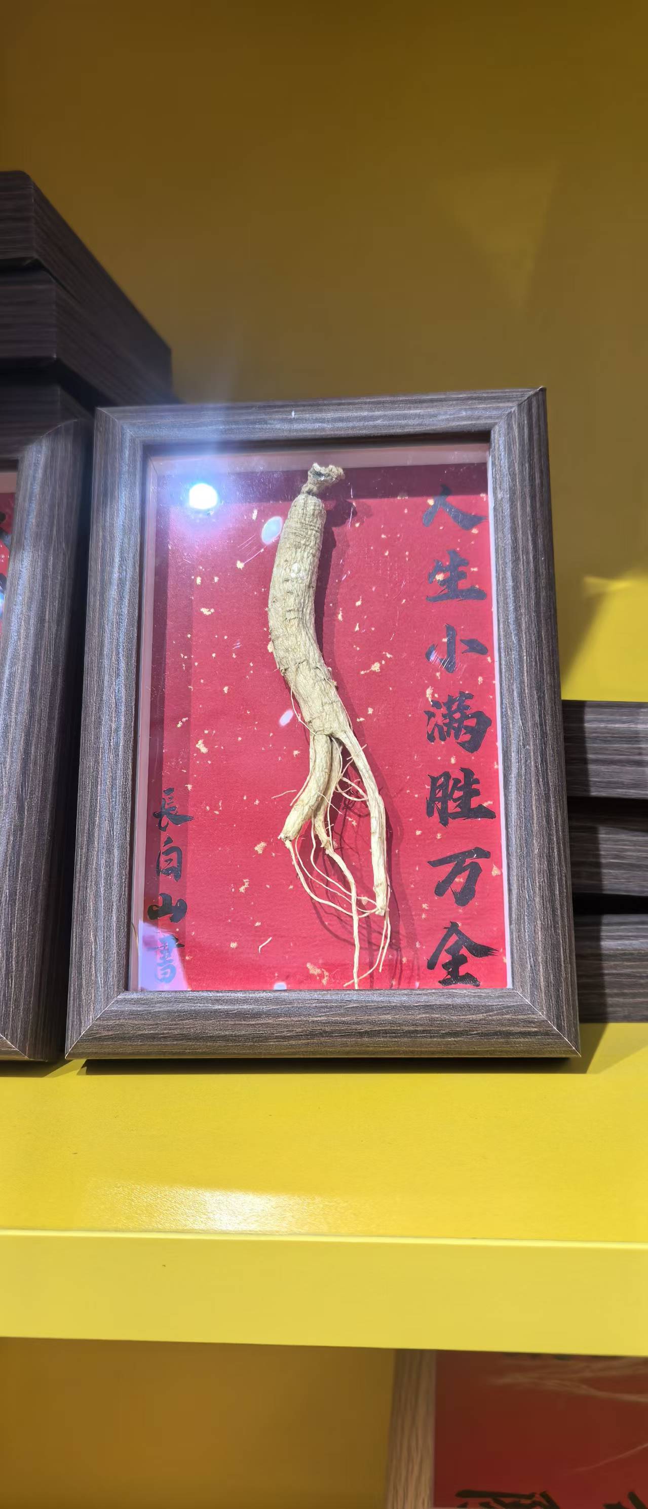 人參