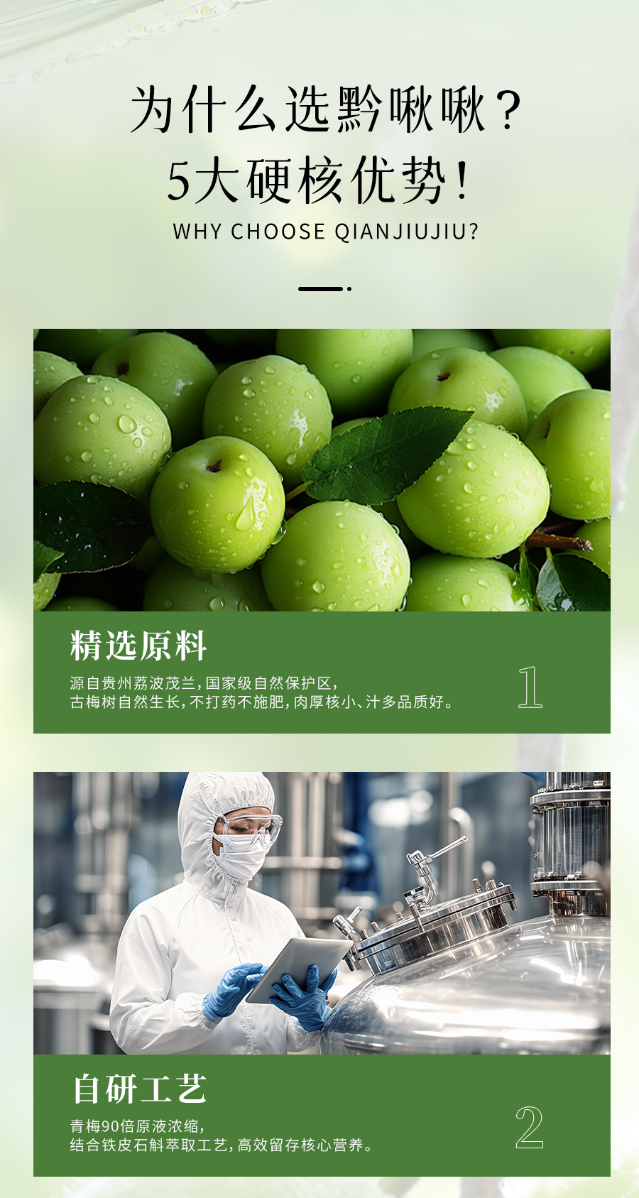 青梅植物飲品詳情頁11_05.jpg