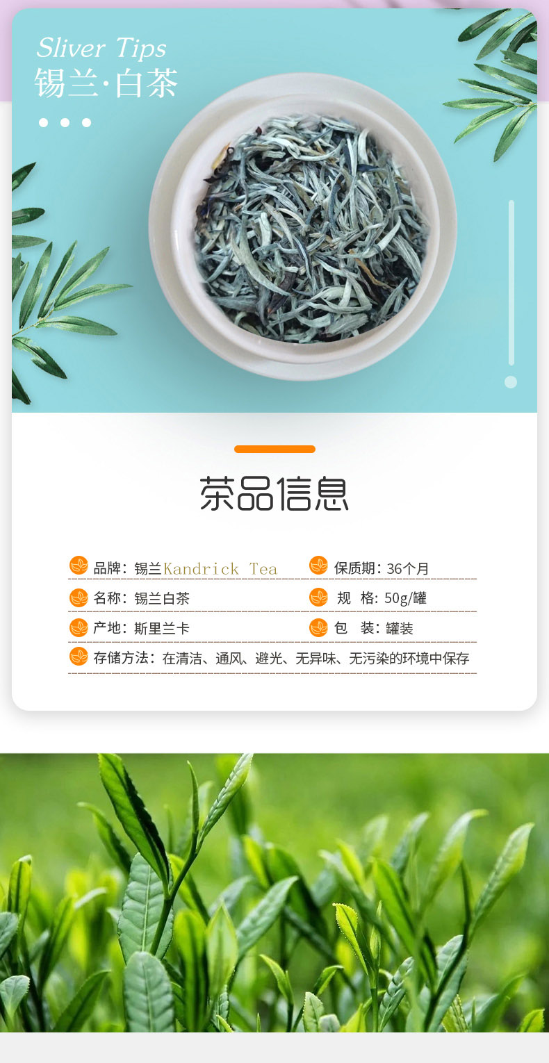 3白详情_02.jpg