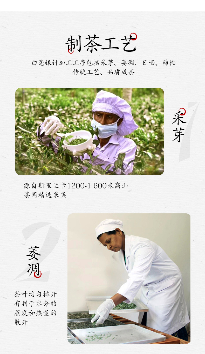 6萎凋.jpg