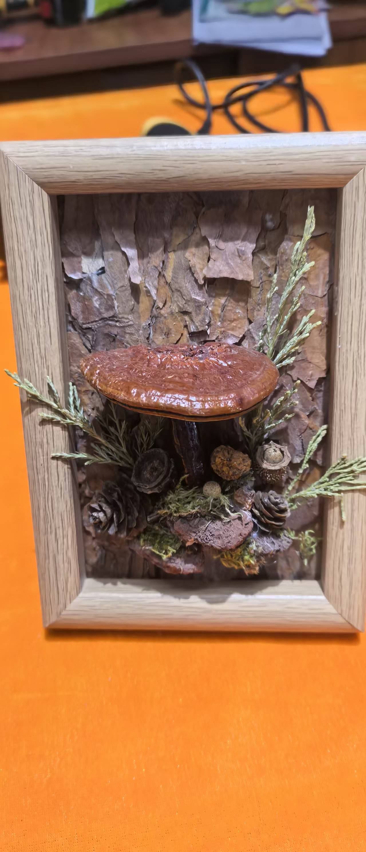 Ganoderma lucidum
