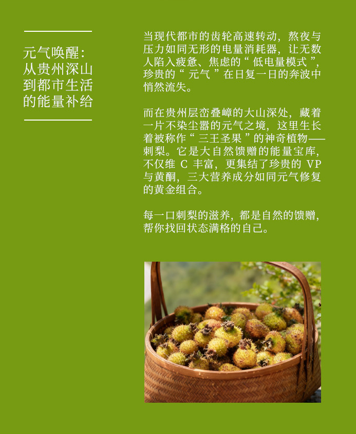 1021-刺梨詳情頁(yè)-中式--拷貝_03.jpg