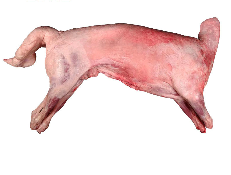 14羔羊整只主圖 (3).jpg