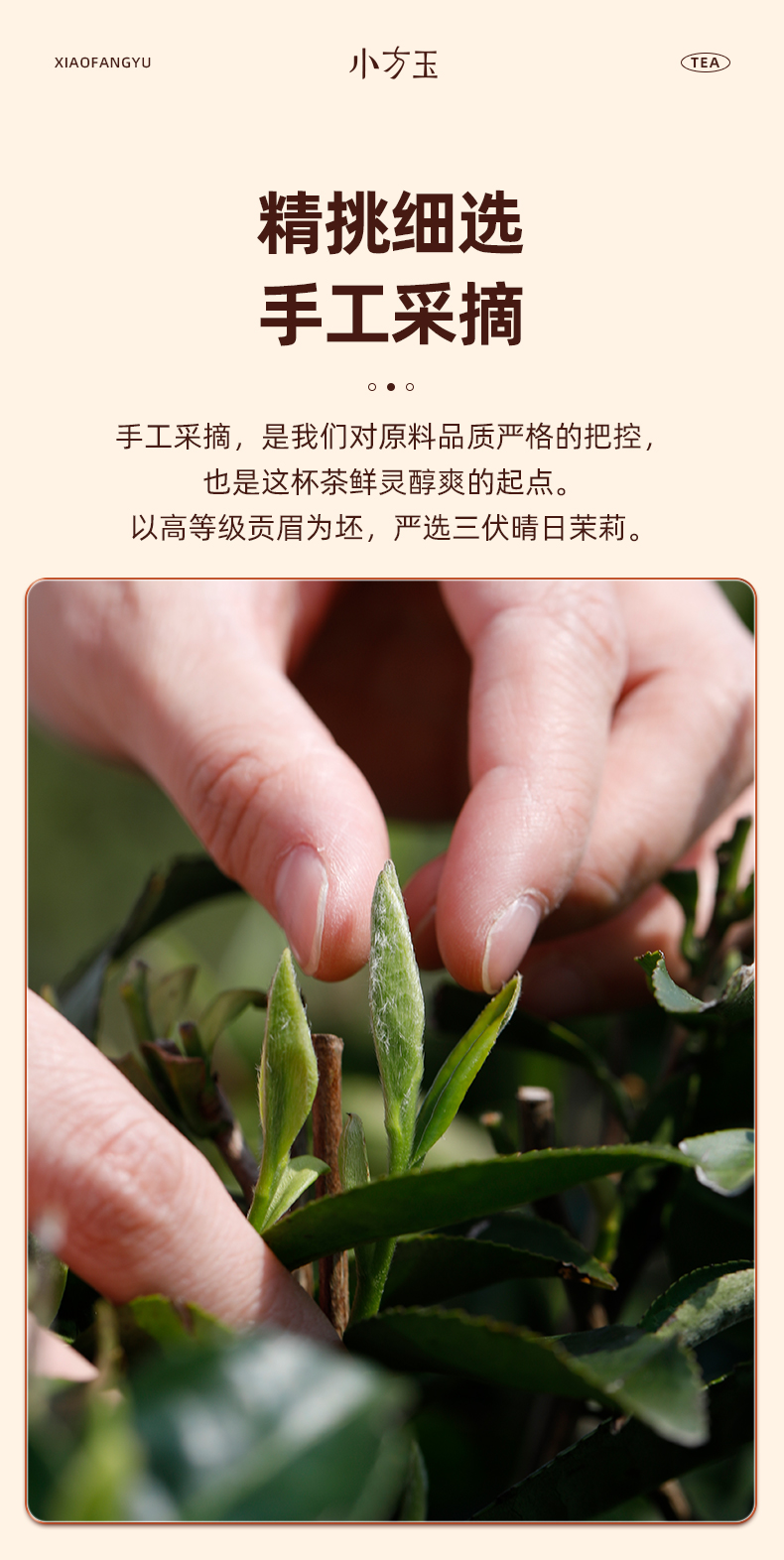 詳情_04.jpg