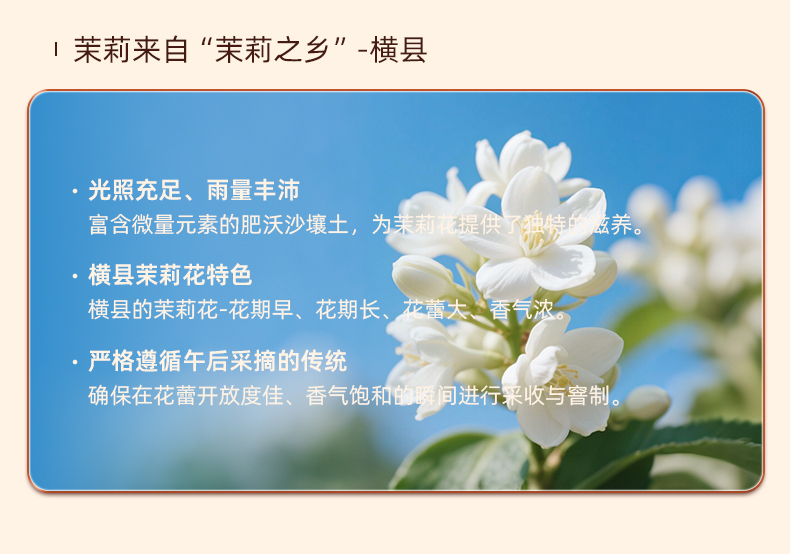 詳情_03.jpg