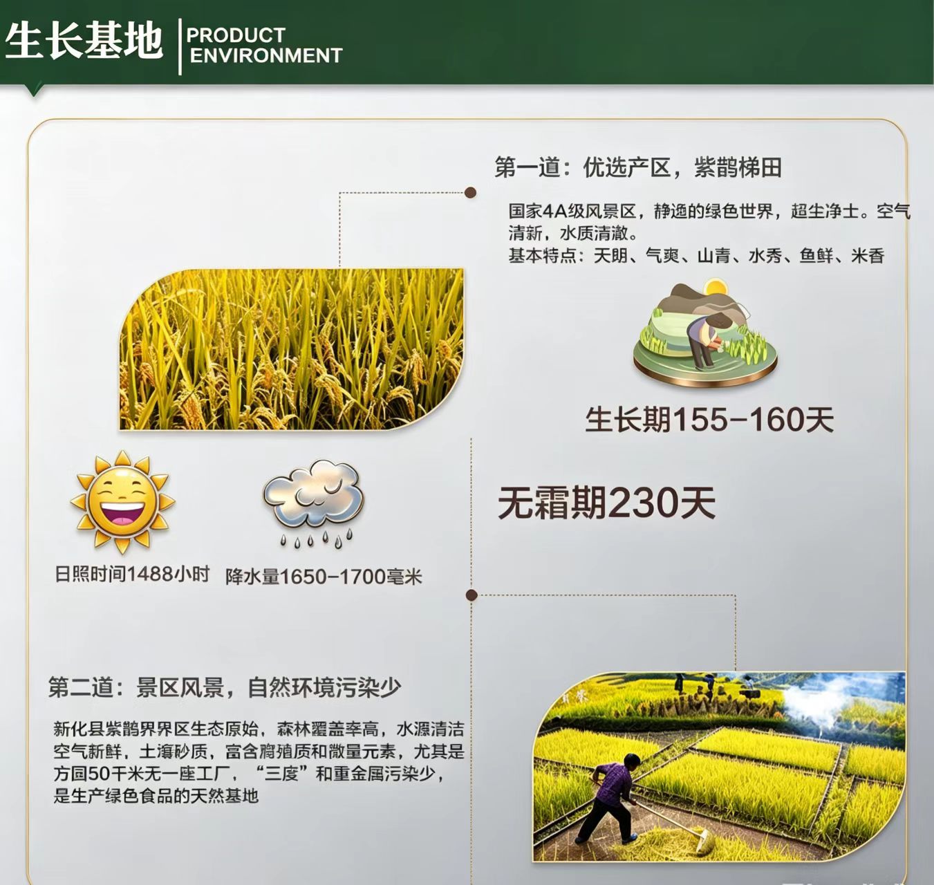 详情页2.jpg