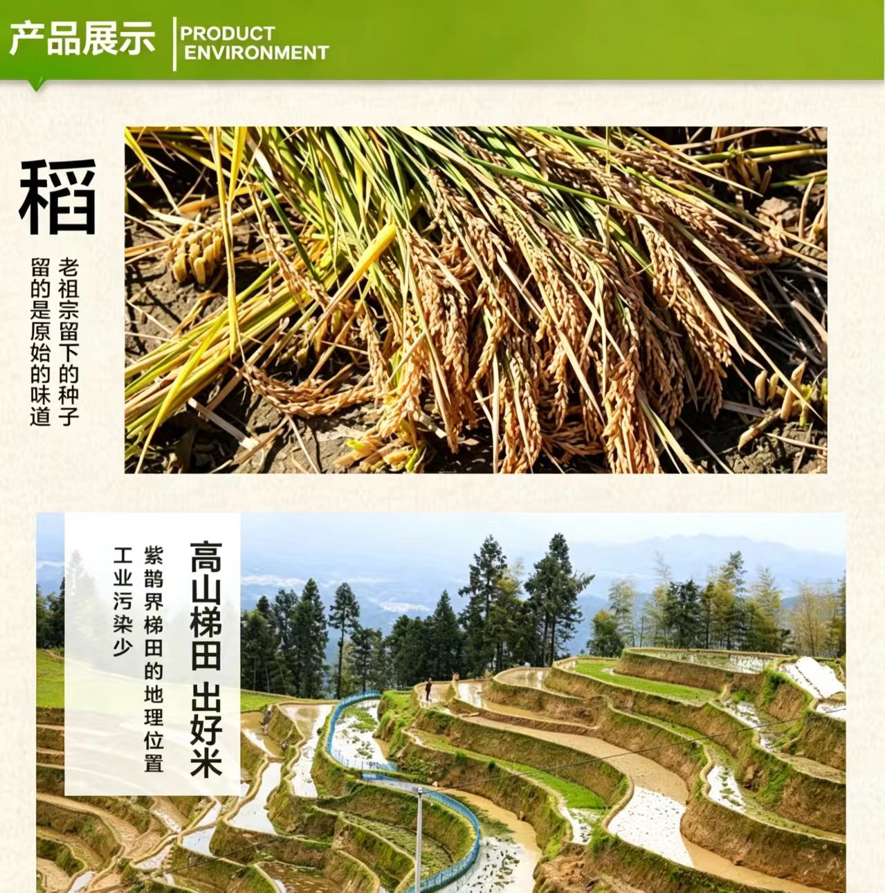 詳情頁3.jpg