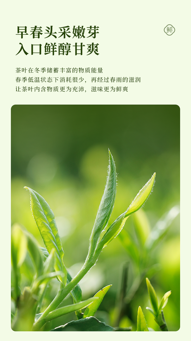 詳情_02.png