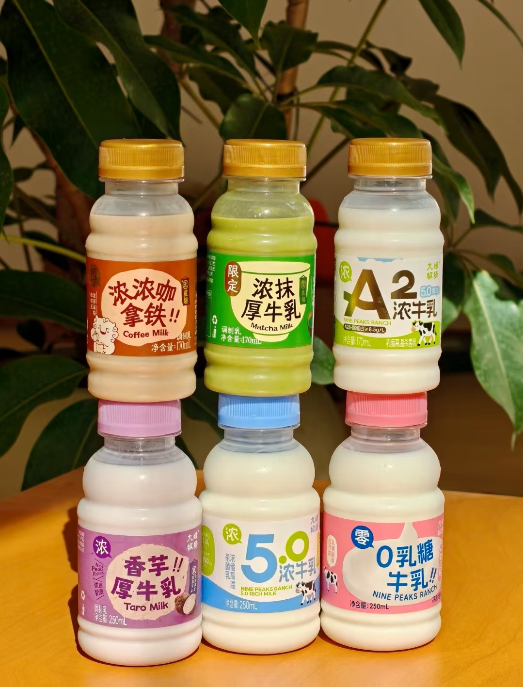 九峰牧場低溫奶