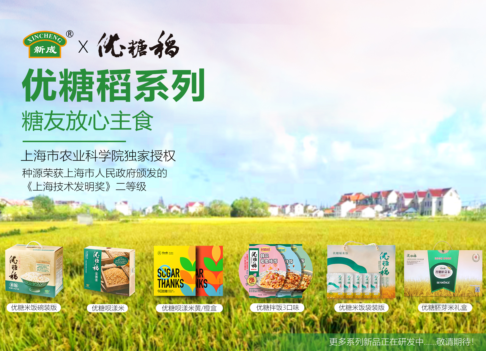 優(yōu)糖稻健康主食系列