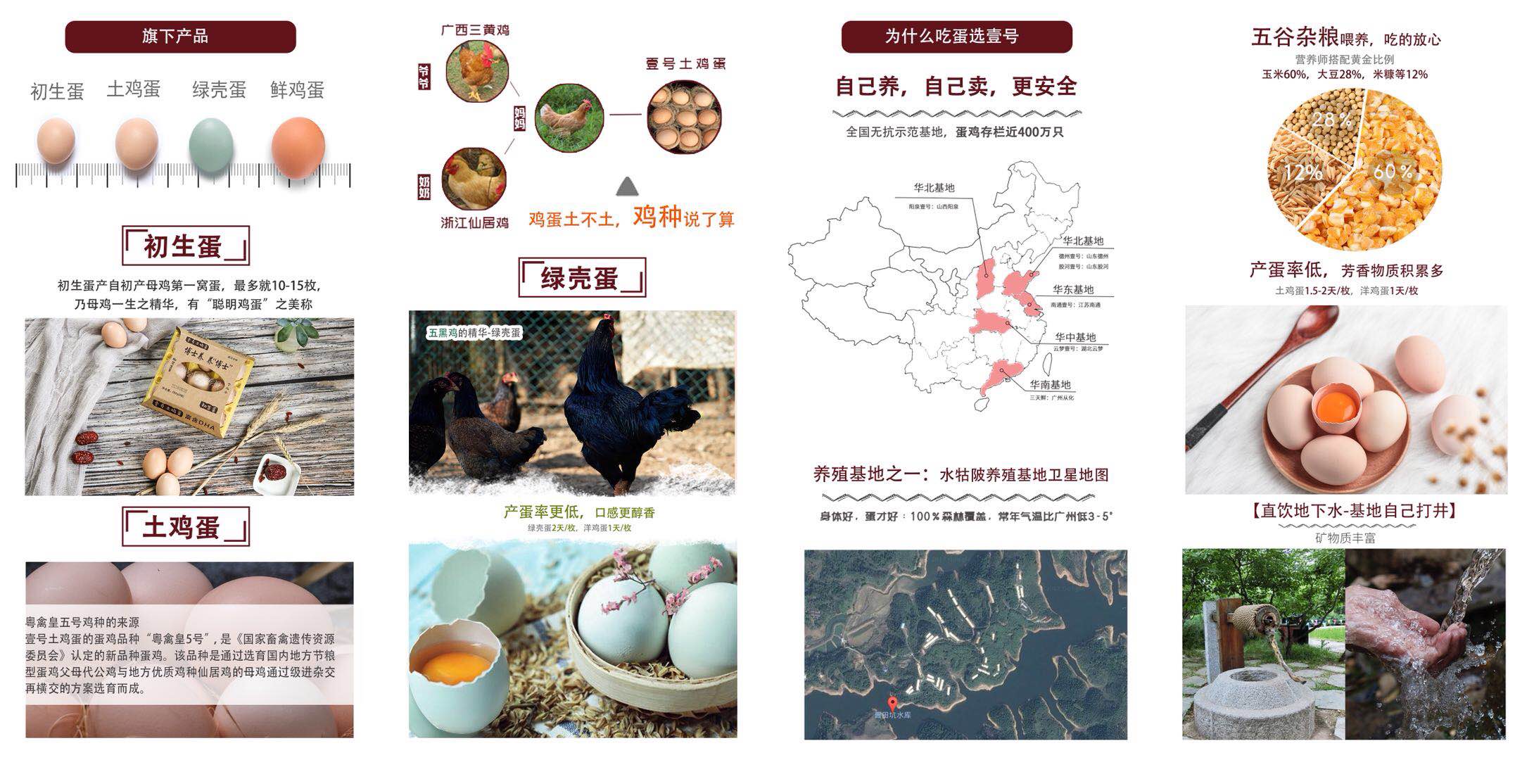 壹号土鸡蛋品牌故事2.jpg