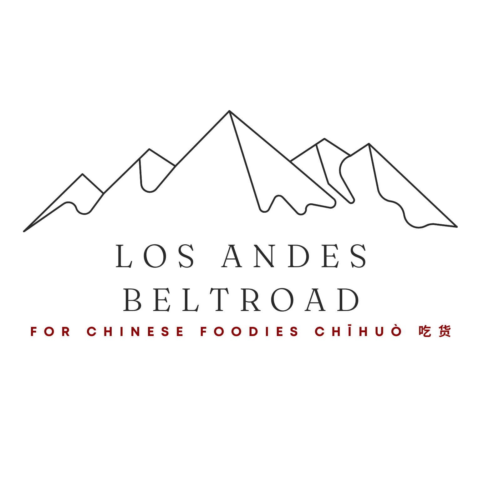 HANGZHOU GREATER LATIN AMERCIA IMPORT AND EXPORT TRADE CO LT