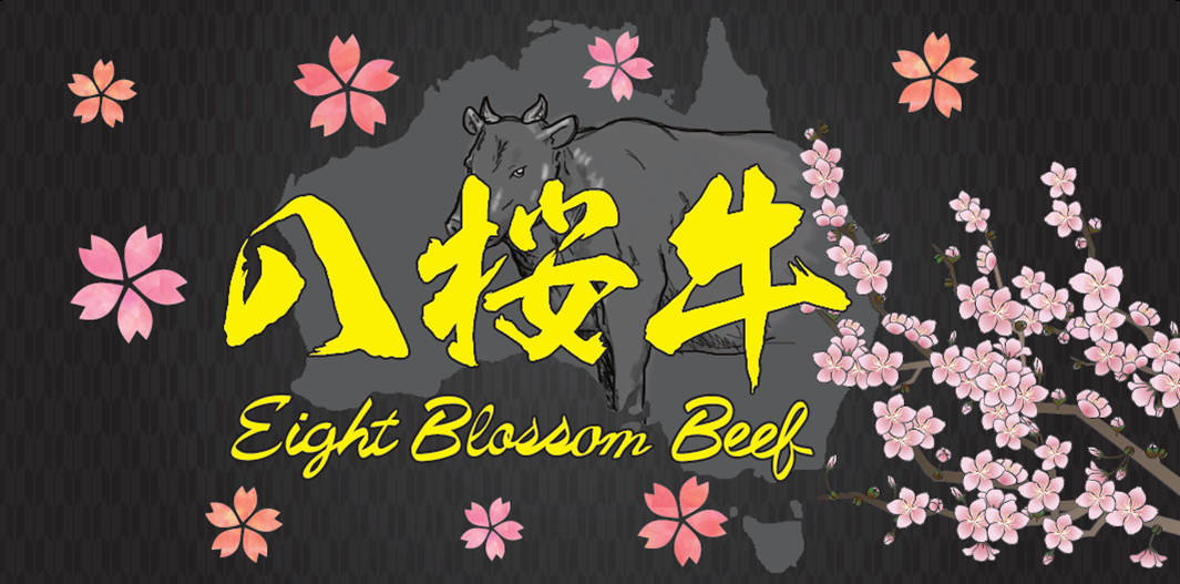 冷凍去骨牛眼肉（WAGYU,MB9+,澳大利亞，203廠）