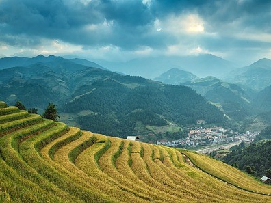 農(nóng)業(yè)農(nóng)村部:今年糧食產(chǎn)量有望穩(wěn)定在13000億斤以上