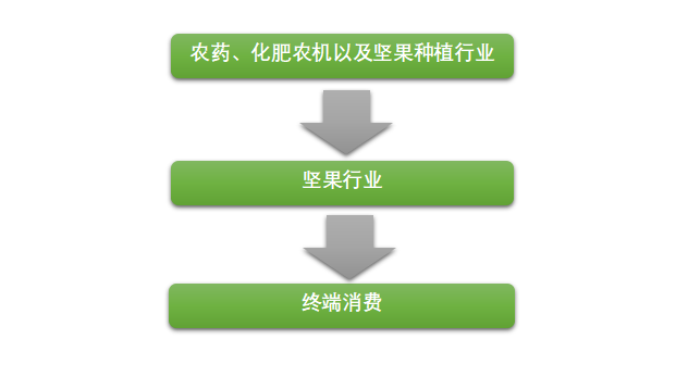 肯尼亞夏威夷果成為全球堅果行業(yè)的新生力量