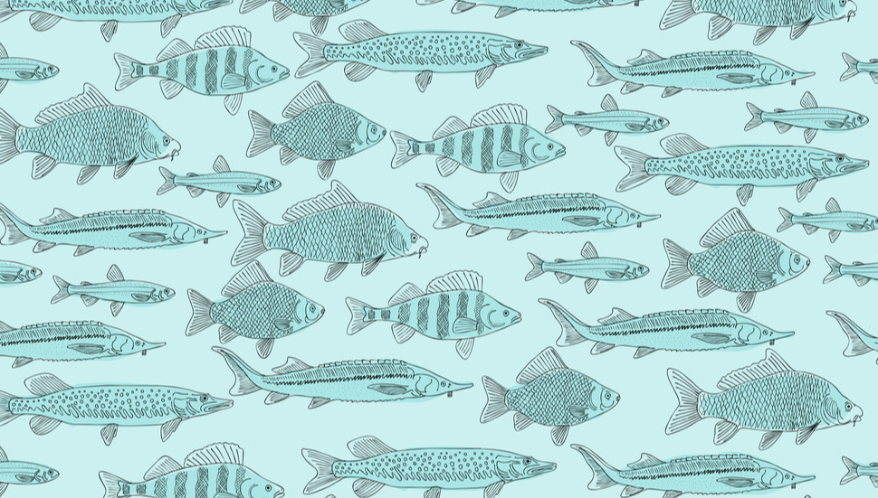 干制海產(chǎn)品烘干工藝