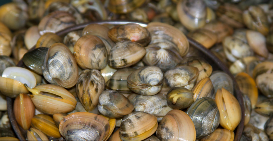 養(yǎng)老休閑、康養(yǎng)餐飲：為農(nóng)村發(fā)展三產(chǎn)提供新思路