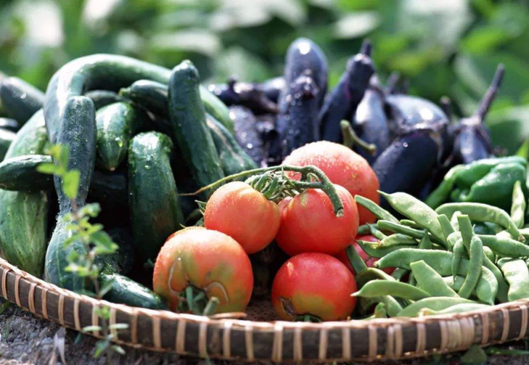 動植物中草藥種養(yǎng)，迎來發(fā)展新機遇