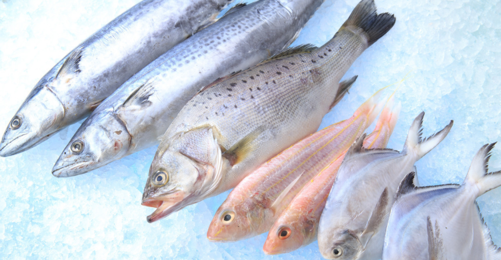 規(guī)范生產(chǎn)的干制水產(chǎn)品均可放心食用