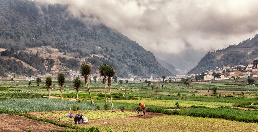 冷凍水產(chǎn)品及其家庭正確的解凍方法