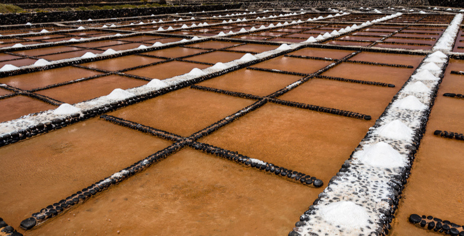 我國(guó)主要農(nóng)產(chǎn)品未來(lái)十年展望（二）