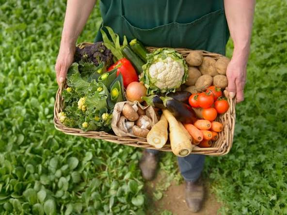 <img src="fresh-organic-vegetables-harvest.jpg" alt="SIAL China Organic & Wellness Village concept image featuring fresh local organic produce in a basket">