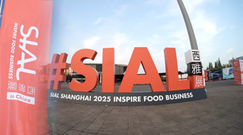 shanghai video cover