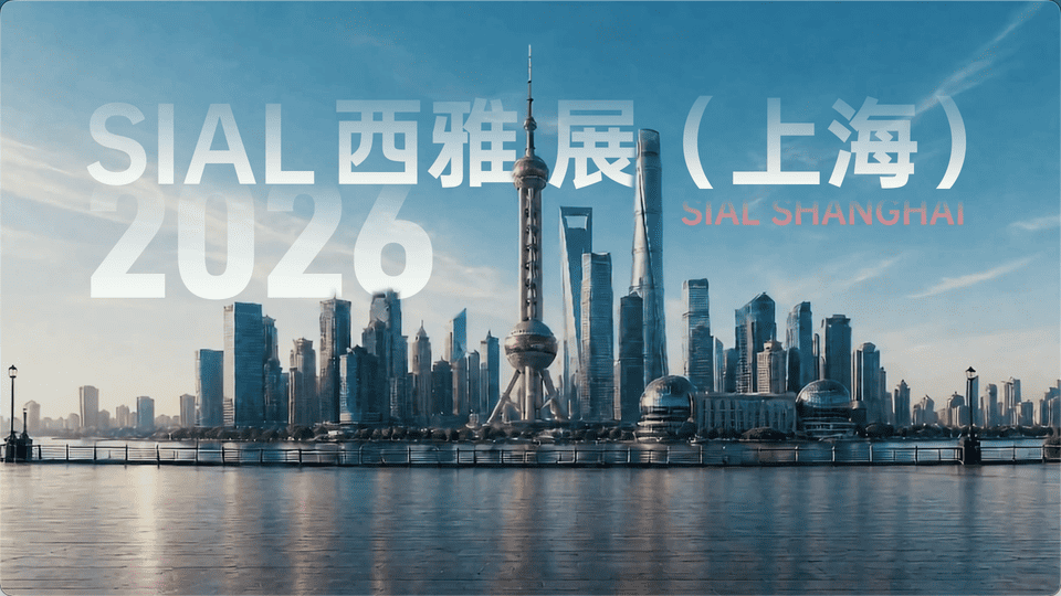 shanghai video cover