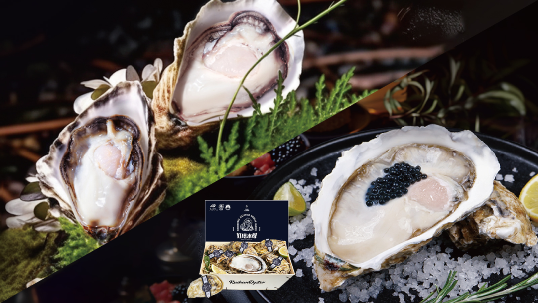 山东灯塔水母海洋科技有限公司